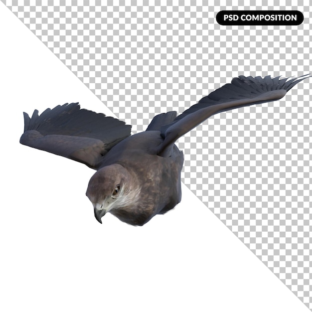 Rendering 3D aislado de la mosca águila