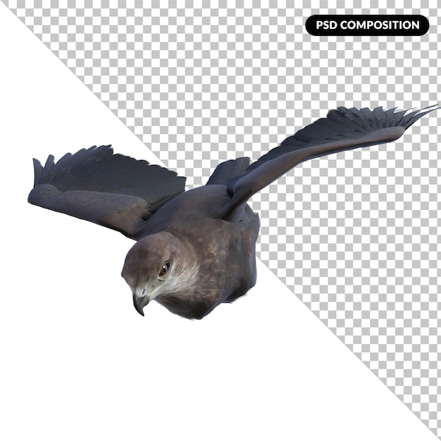 Rendering 3d aislado de la mosca águila