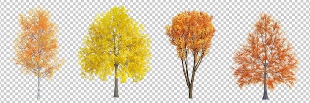 Rendering 3d Árbol de otoño con fondo cortado aislado