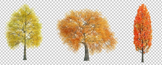 PSD rendering 3d árbol de otoño con fondo cortado aislado