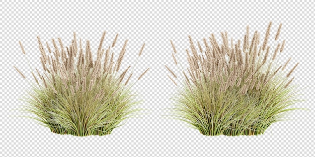 PSD rendering 3d des arrangements d'herbe et d'arbustes.