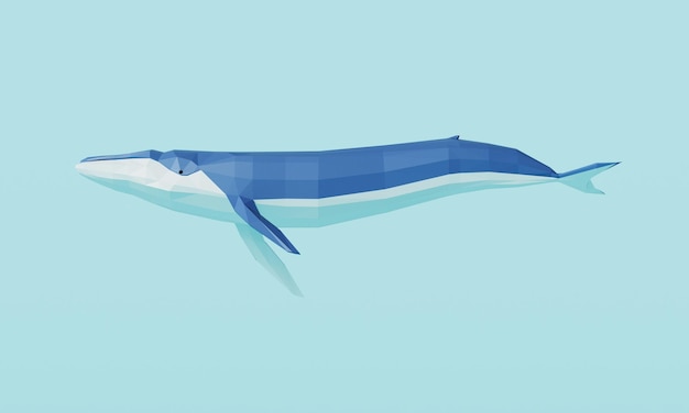 Rendering 3D de la baleine bleue poly basse