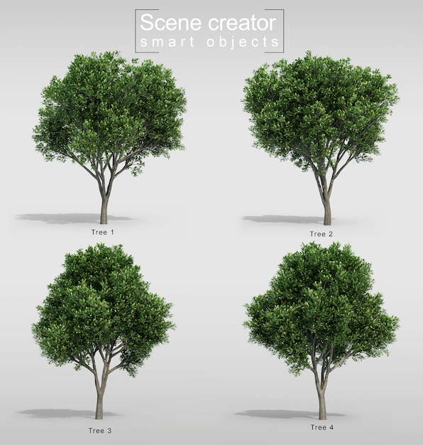 Rendering 3D del creatore di scene dell'albero di carrotwood