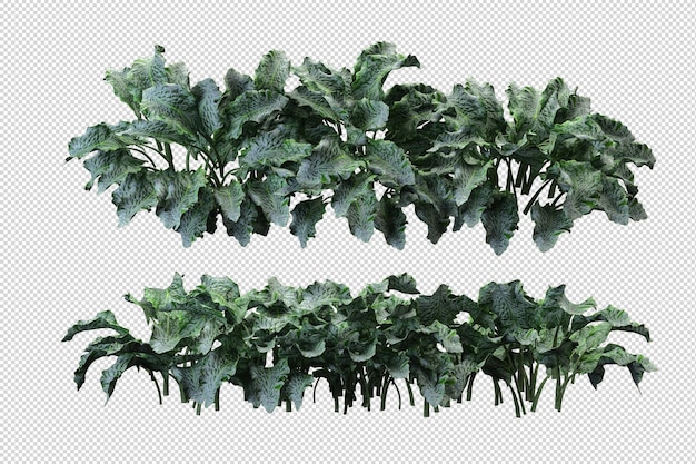 Rendering 3D del rendering di paesaggi naturali
