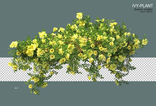 Rendering 3D dell'edera con fiori colorati