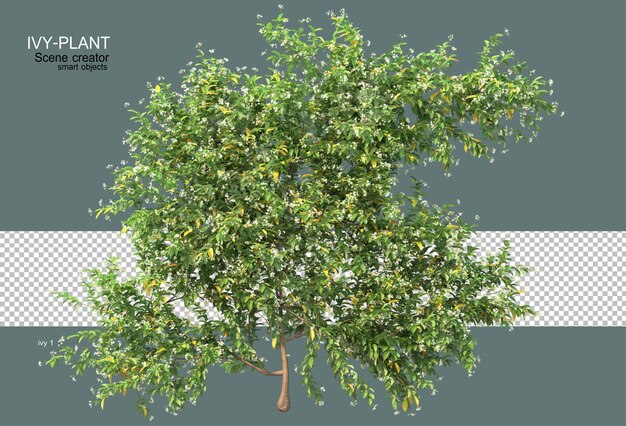 Rendering 3D dell'edera con fiori colorati