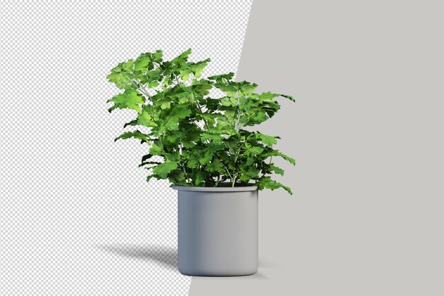 Rendering 3D dell'impianto isometrico