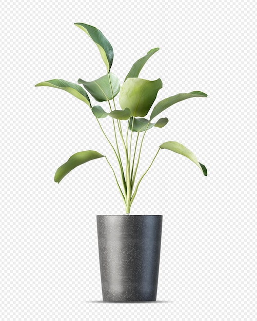Rendering 3D dell'impianto isometrico