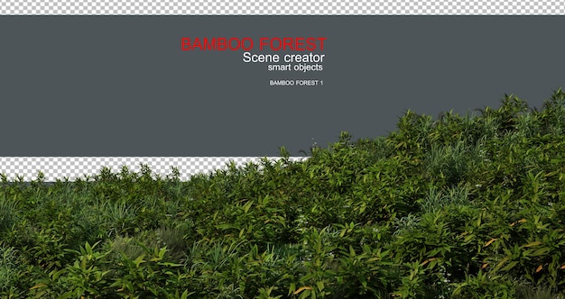 Rendering 3D della foresta e del prato di bambù