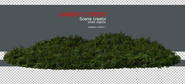 Rendering 3D della foresta e del prato di bambù