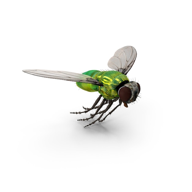 Rendering 3D dettagliato di una mosca verde vibrante con ali intricate