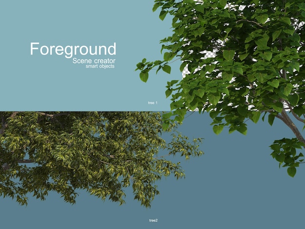Rendering 3D di alberi foregroung isolati