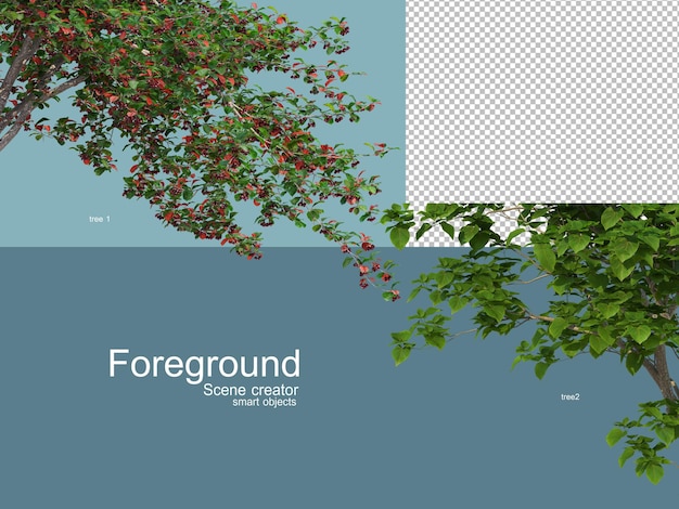 Rendering 3D di alberi foregroung isolati