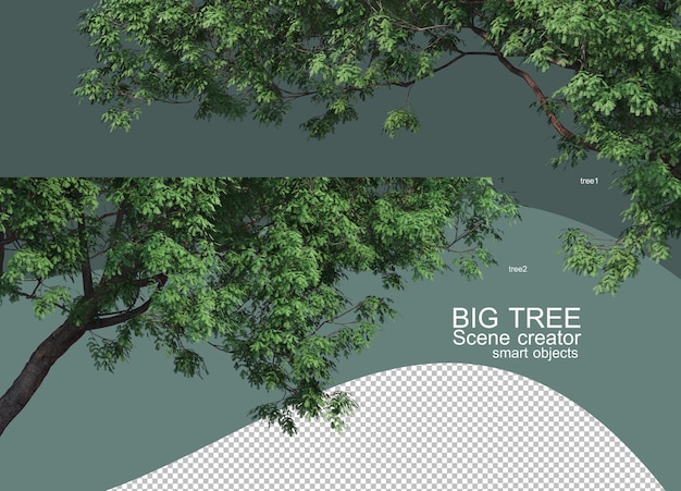 Rendering 3D di arrangiamenti di grandi alberi
