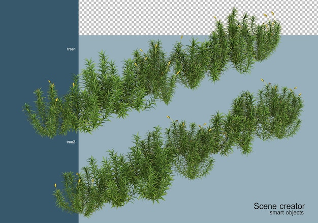 Rendering 3D di bellissime piante in vari angoli isolati