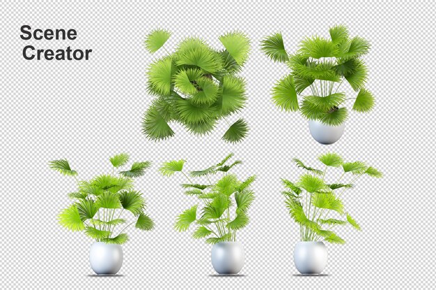 Rendering 3D di bellissimi alberi in vari angoli isolati