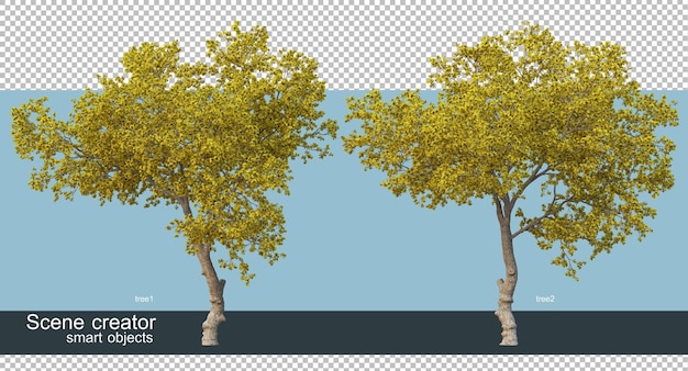 Rendering 3D di bellissimi alberi in vari angoli isolati