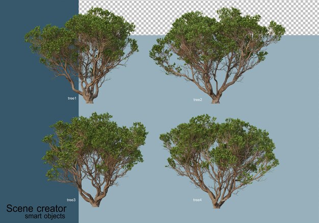 Rendering 3D di bellissimi alberi in vari angoli isolati