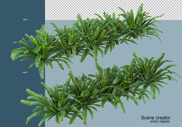 Rendering 3D di bellissimi arbusti in vari angoli isolati