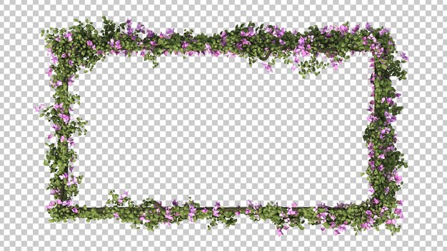 Rendering 3D di cornice rettangolare di bouganville