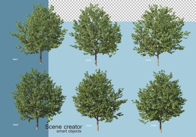 Rendering 3D di disposizione di alberi e fiori