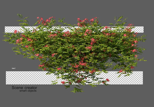 Rendering 3D di molte piante e edera