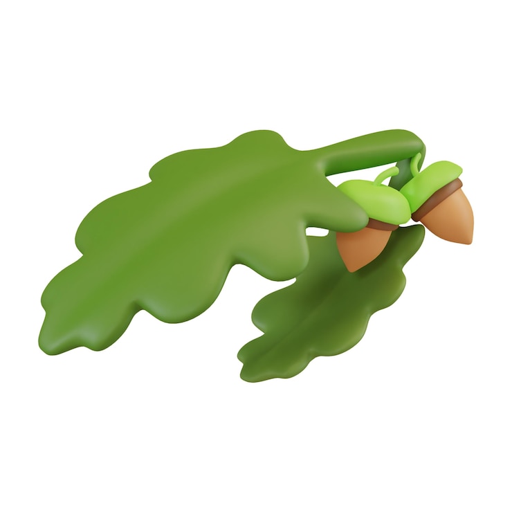 PSD rendering 3d di noce di quercia di ghianda con foglie illustrazione del concetto alimentare
