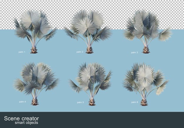 Rendering 3D di palme da cocco e palme