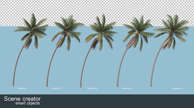 Rendering 3D di palme da cocco e palme