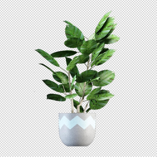 Rendering 3d di piante isolate