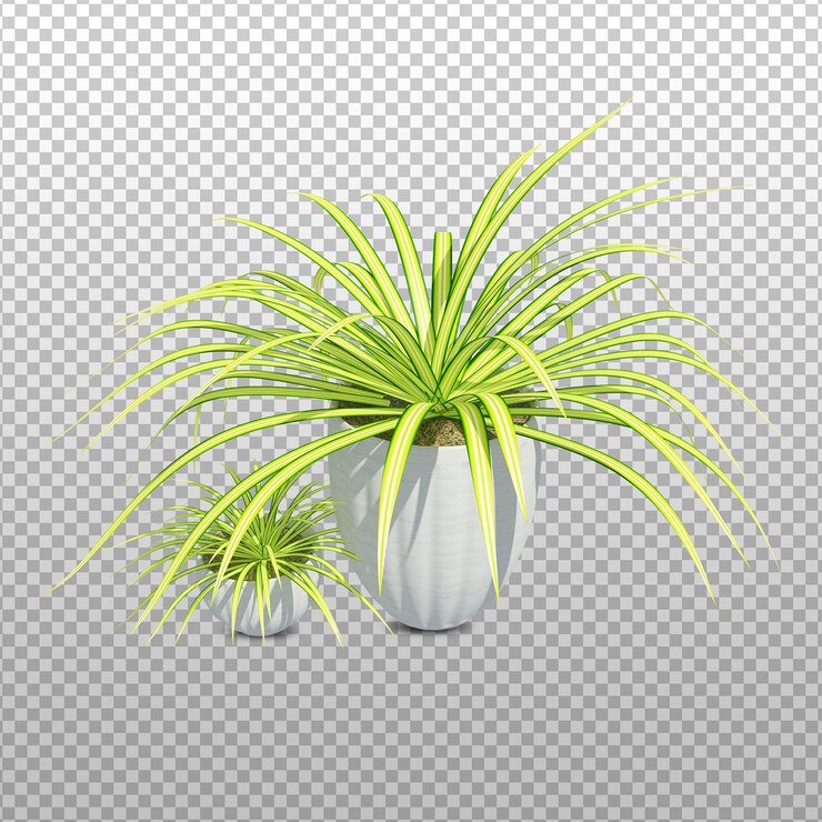 PSD rendering 3d di piante