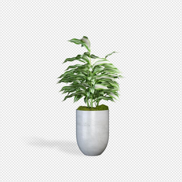 Rendering 3d di piante