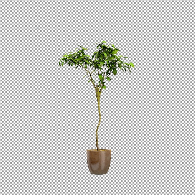 Rendering 3D di un fiore in un vaso
