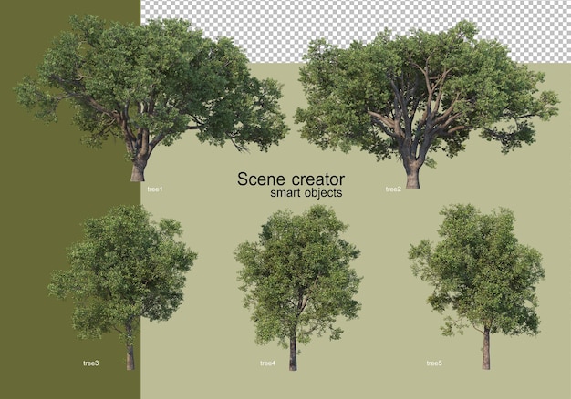 Rendering 3D di vari alberi isolati