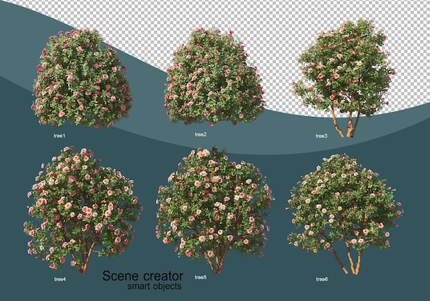 Rendering 3D di vari design ad albero