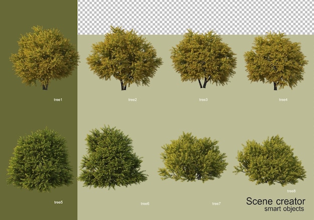 Rendering 3D di vari disegni di alberi