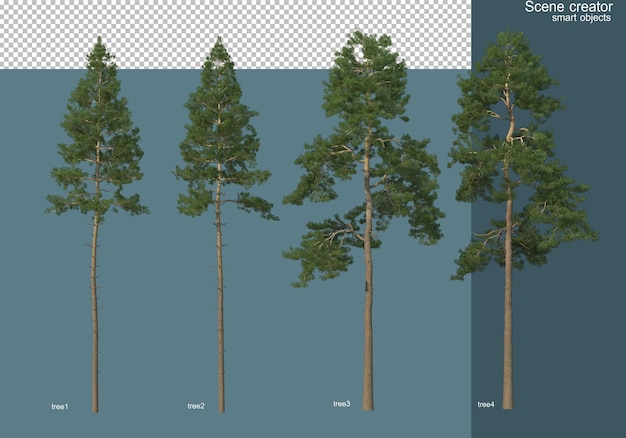 Rendering 3D di vari tipi di alberi di pino