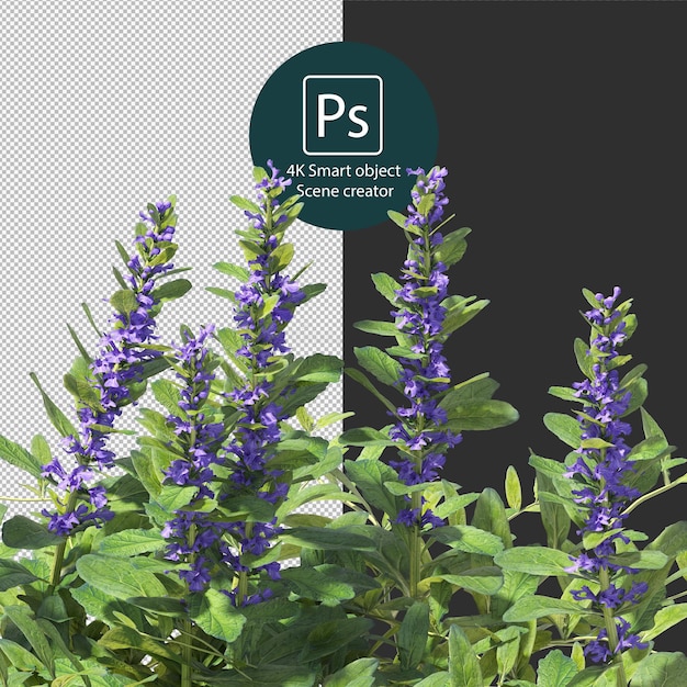 Rendering 3D di vari tipi di disposizioni di cespugli e siepi