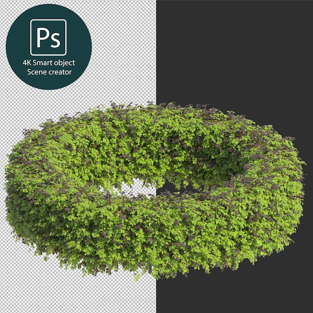 Rendering 3D di vari tipi di disposizioni di cespugli e siepi