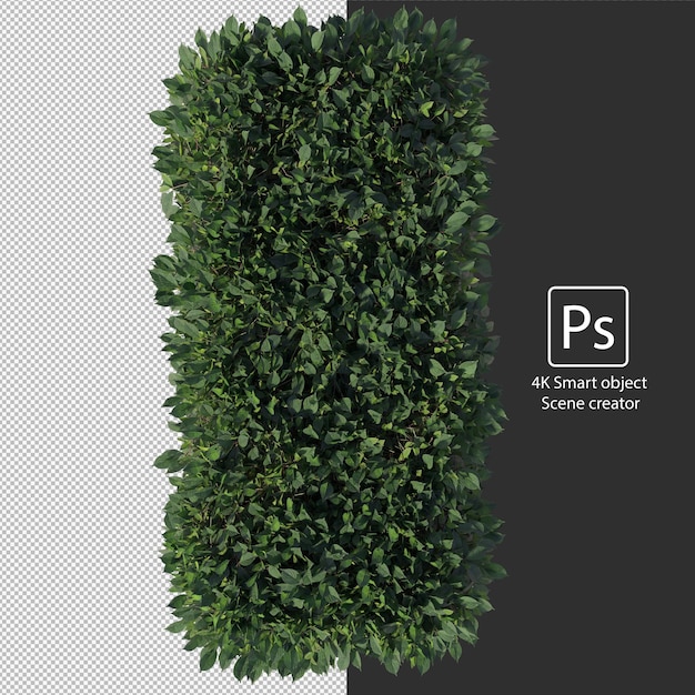 Rendering 3D di vari tipi di disposizioni di cespugli e siepi