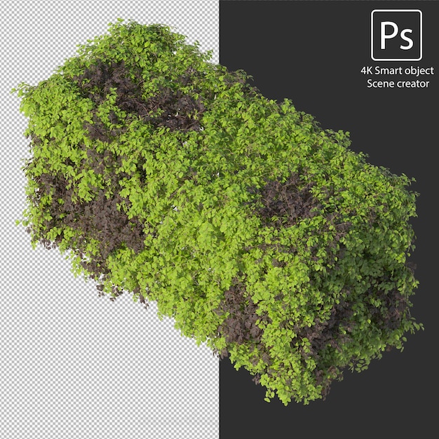 Rendering 3D di vari tipi di disposizioni di cespugli e siepi