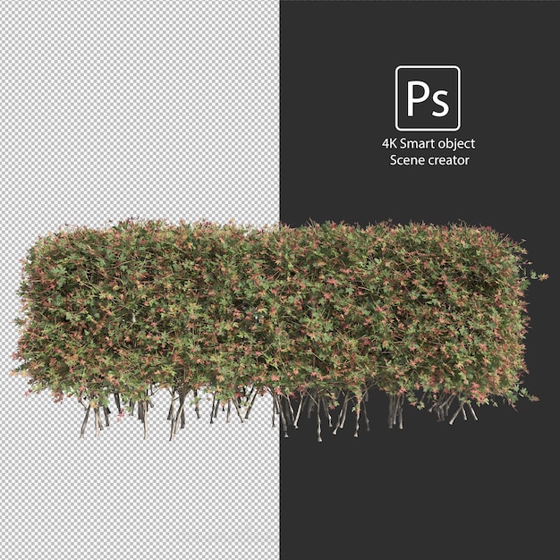 Rendering 3D di vari tipi di disposizioni di cespugli e siepi