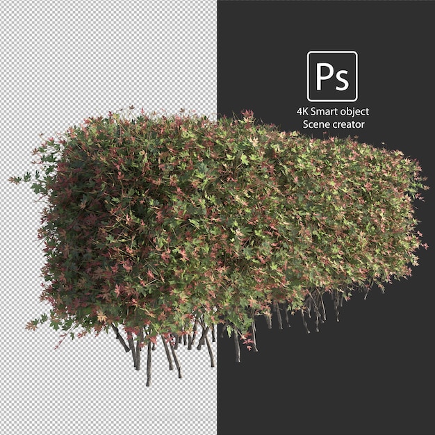 Rendering 3D di vari tipi di disposizioni di cespugli e siepi