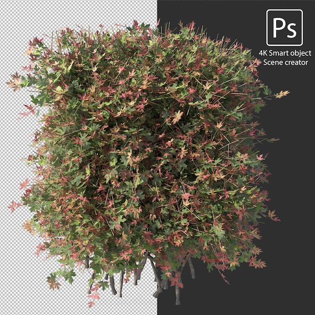 Rendering 3D di vari tipi di disposizioni di cespugli e siepi