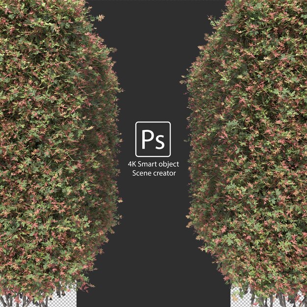 Rendering 3D di vari tipi di disposizioni di cespugli e siepi