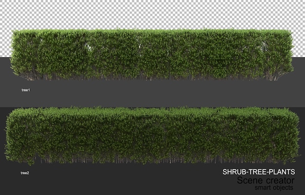 Rendering 3D di vari tipi di layout di arbusti