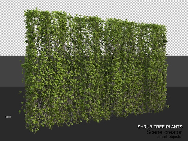 Rendering 3D di vari tipi di layout di arbusti