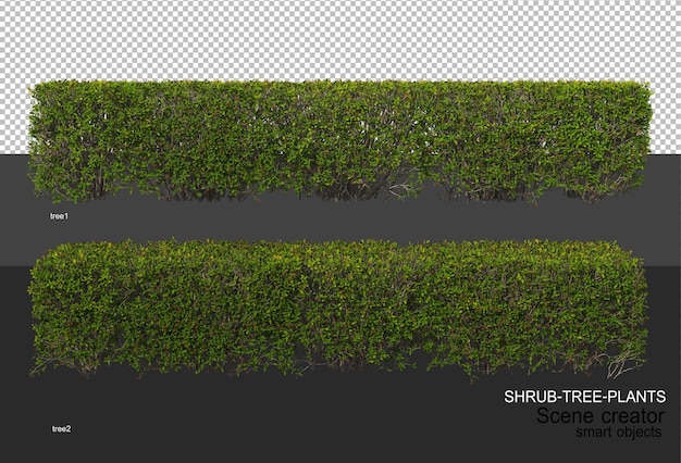 Rendering 3D di vari tipi di layout di arbusti