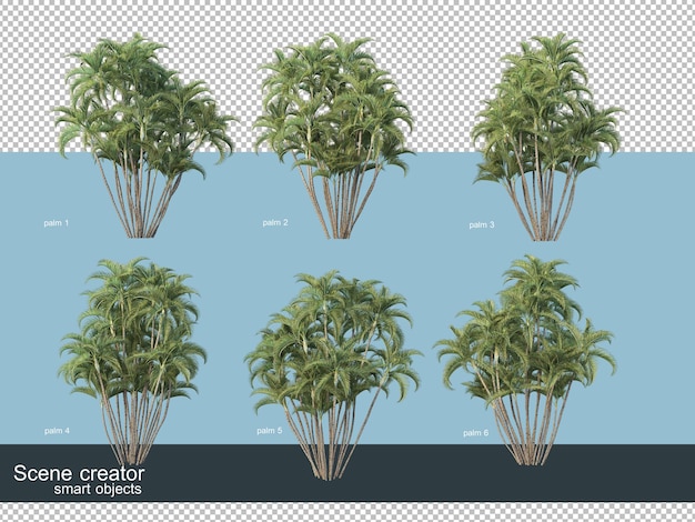 Rendering 3D di vari tipi di palme