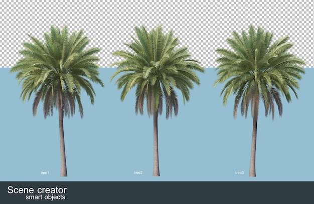 Rendering 3D di vari tipi di palme